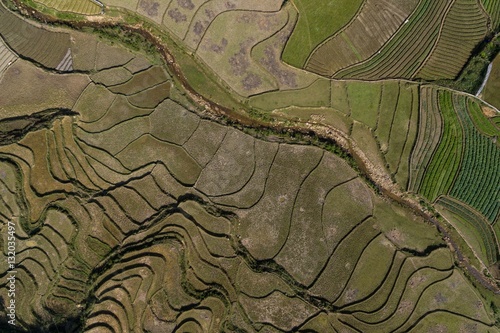 Rice Fields, Paddy in Sa Pa Lao Cai Vietnam Aerial Drone Photo