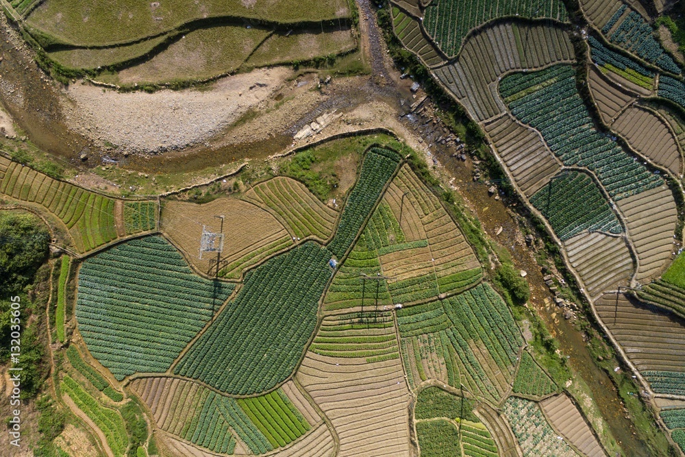 Rice Fields, Paddy in Sa Pa Lao Cai Vietnam Aerial Drone Photo