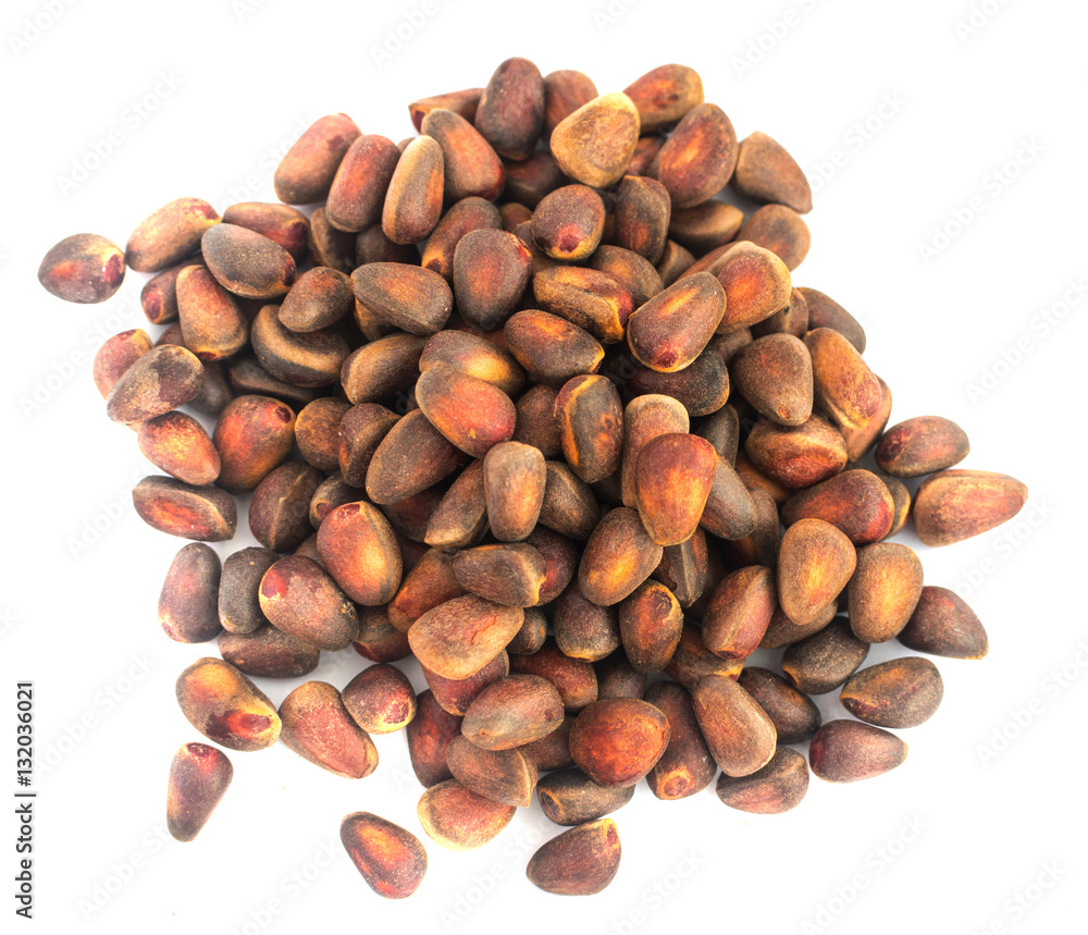 Siberian Cedar Pine Nuts Background Siberian Cedar Pine Nuts Background
