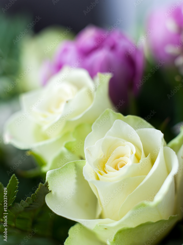 Bunch with white roses and violet tulips in the background Bunch with white roses and violet tulips in the background