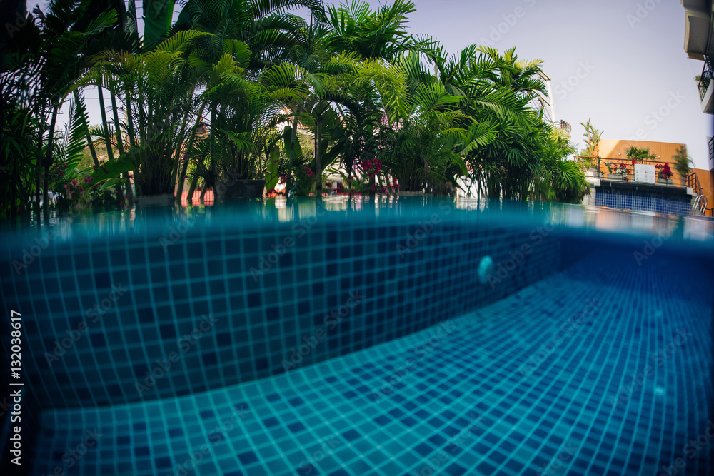Underwater shot of tiled swimming pool bottom and green plant above water surface