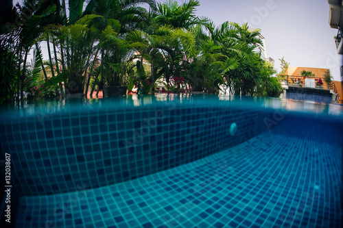 Underwater shot of tiled swimming pool bottom and green plant above water surface