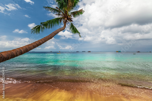 Coast of a tropical sea with yellow sandy beach and palm tree with blue cloudy sky