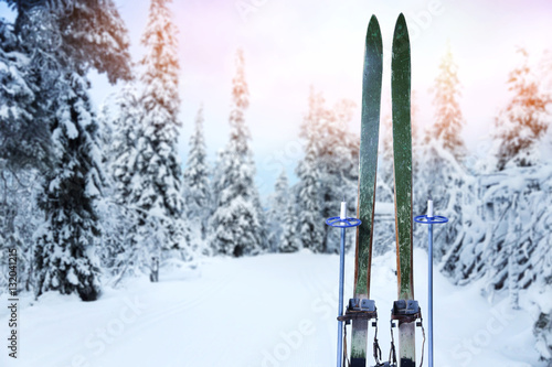 snowy cross country ski trail with retro wood skis and ski poles