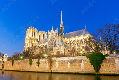 Paris. Notre Dame. © pillerss