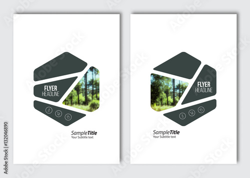 Flyer layout template. Vector brochure background with elements for magazine, cover, poster, layout design. A4 size.