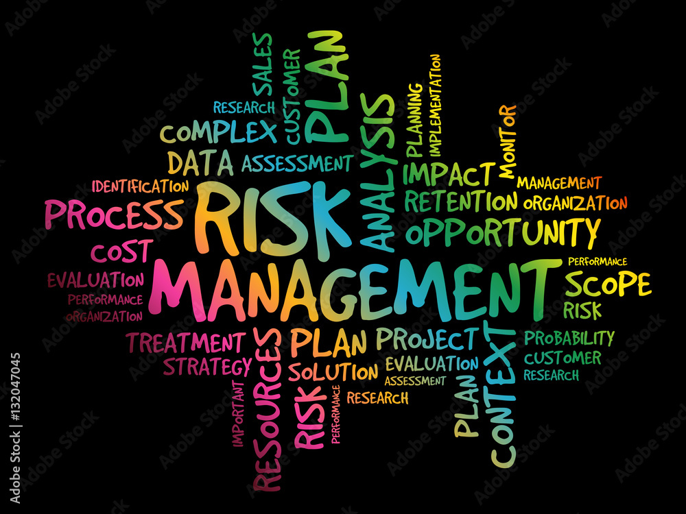 Risk Management word cloud, business concept