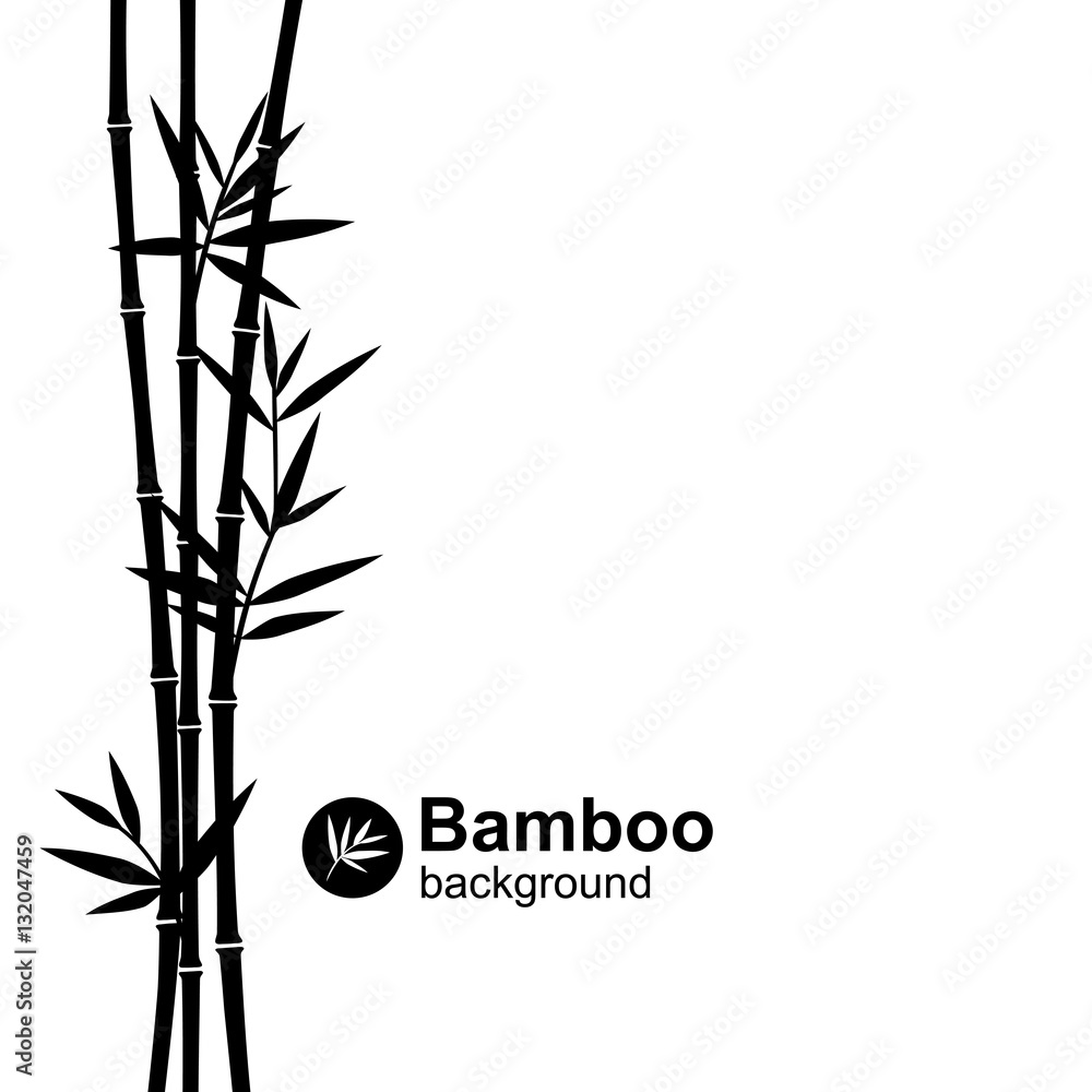 Fototapeta Bambusowy tło. Wektor
