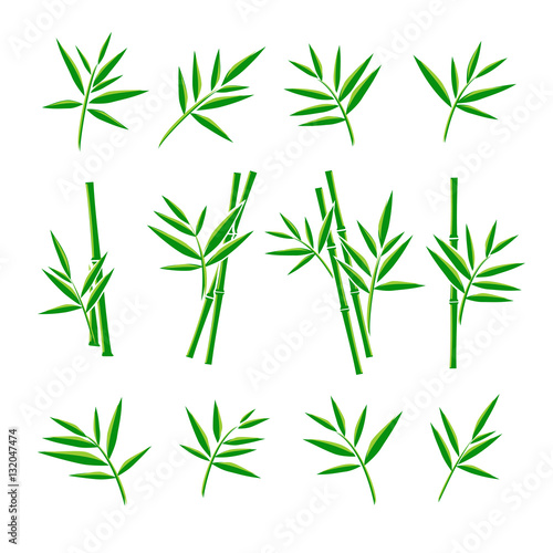 Bamboo collection set. Vector