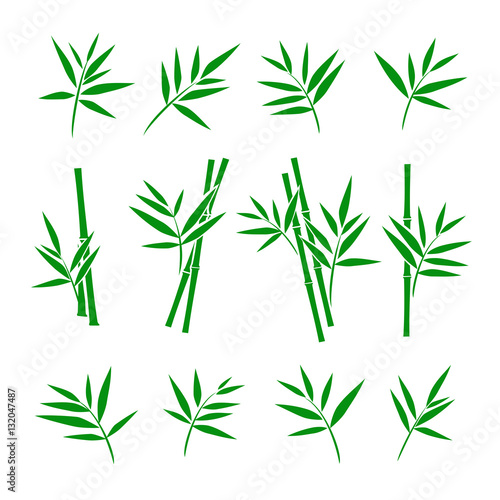 Bamboo collection set. Vector