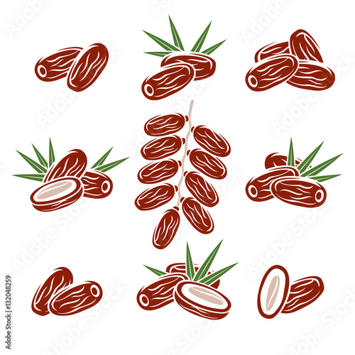 Dates fruit set. Vector