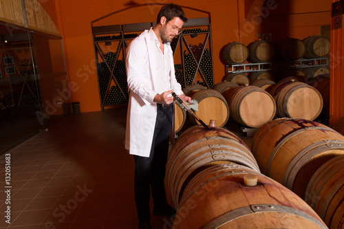 Obraz na plátně Young man oenologist chemist checking wine fermentation in winer