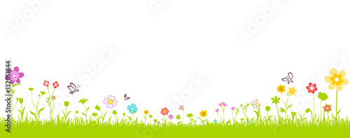 Blumenwiese
