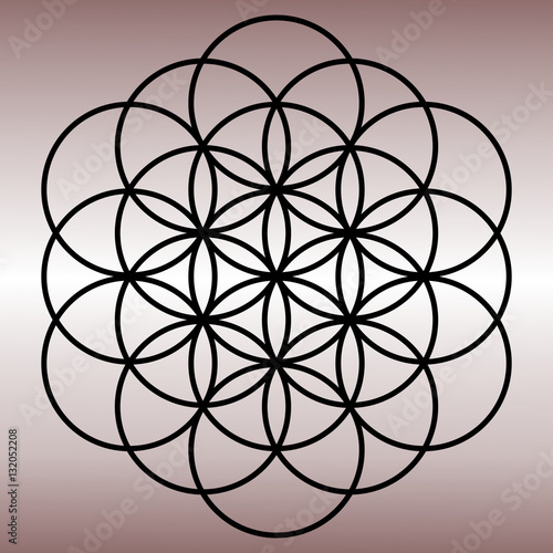Torus life pattern icon