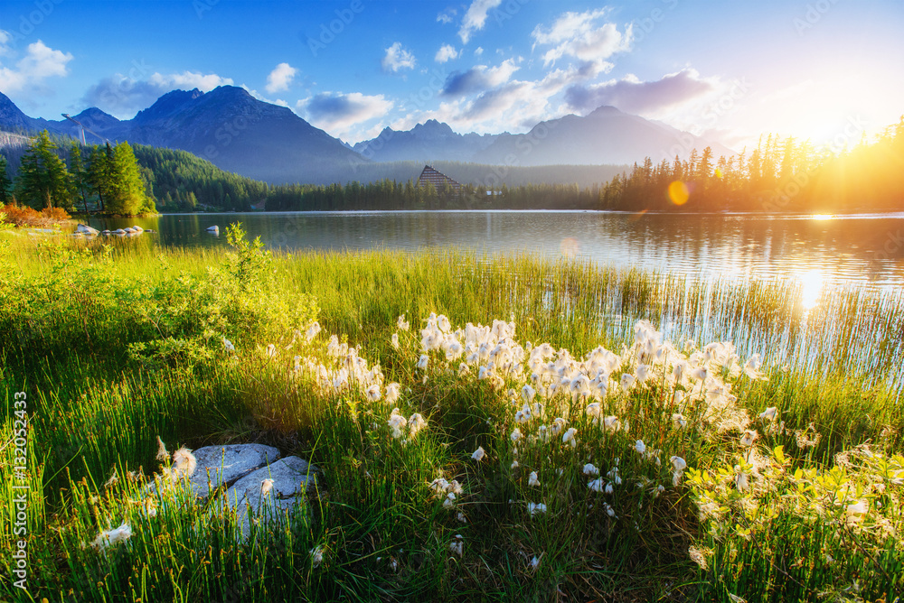 Majestic mountain lake in National Park High Tatra. Strbske ples - obrazy, fototapety, plakaty 