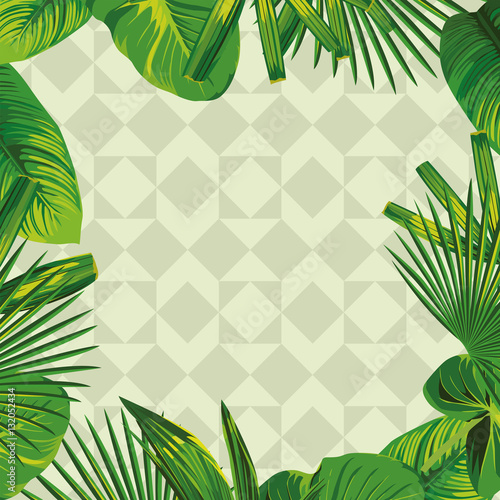 frame of a tropical leaf