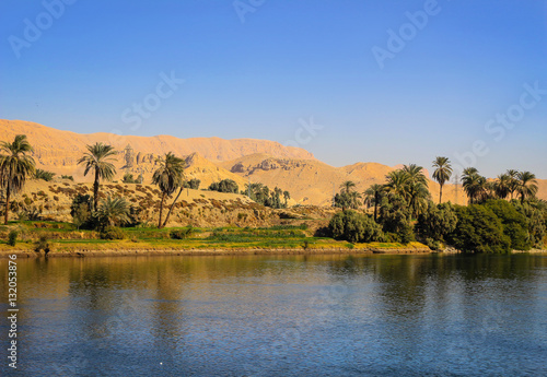 Cuadro en lienzo Oasis on the Nile River, Egypt
