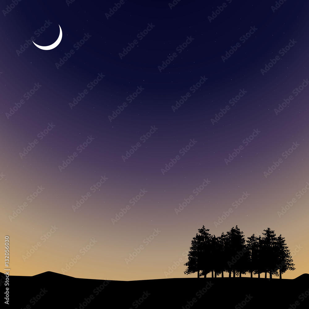 Vector Night time sky, nature landscape with moon and trees Vector Night time sky, nature landscape with moon and trees