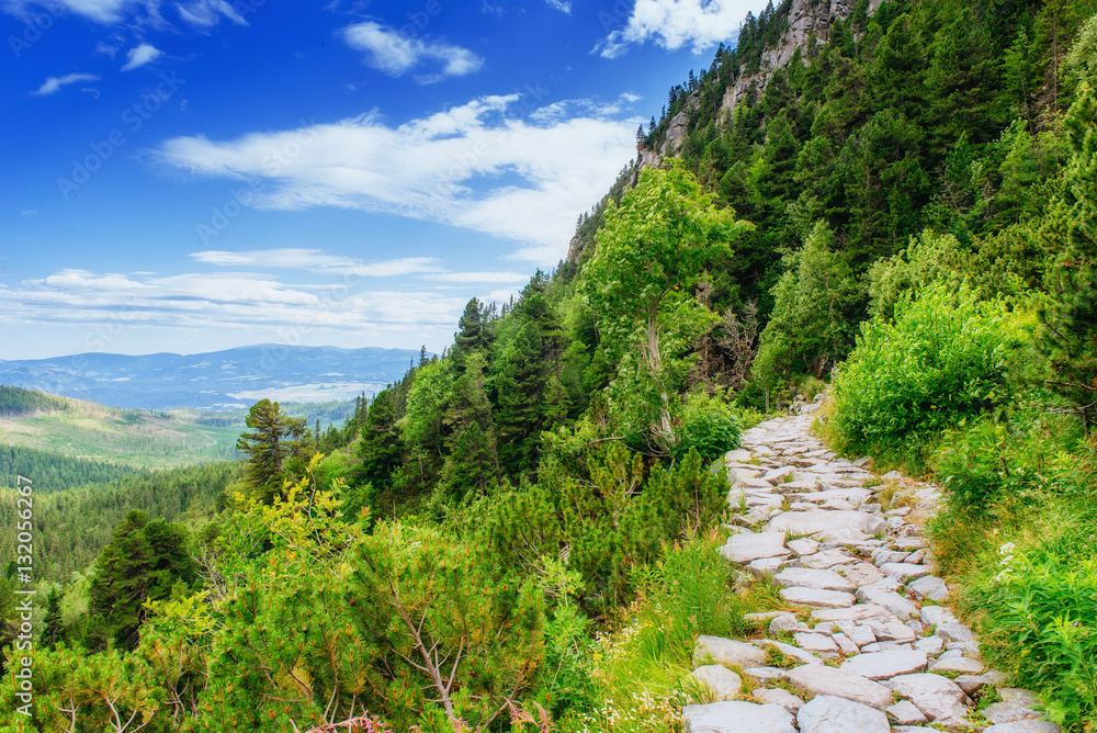 Green meadow and blue sky with clouds over the mountains Ukraine