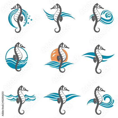 images collection of sea horse and ocean waves
