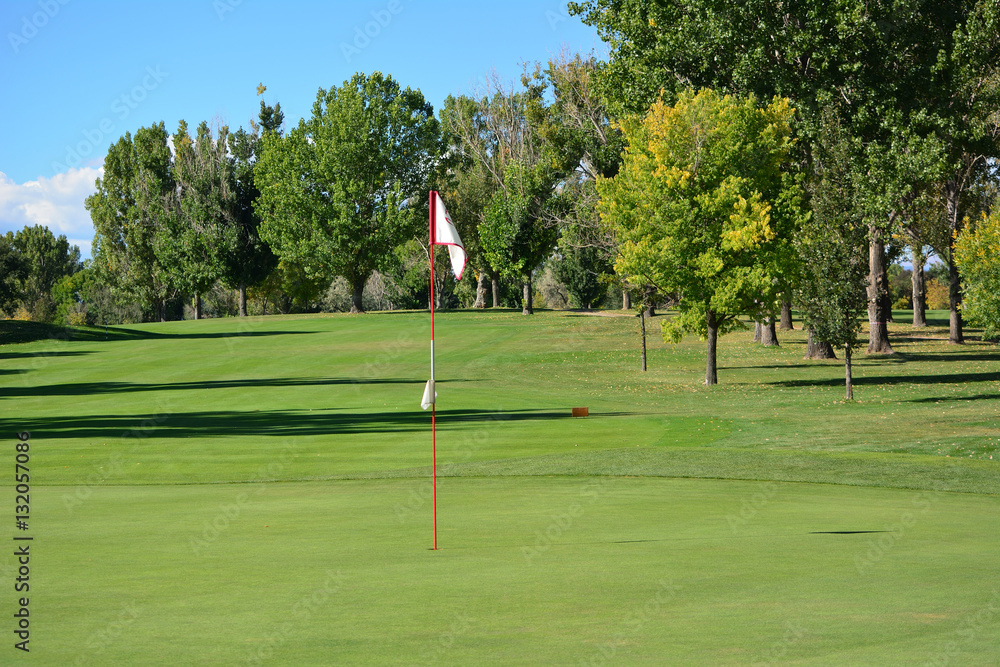 Obraz premium Green and flag on a golf course