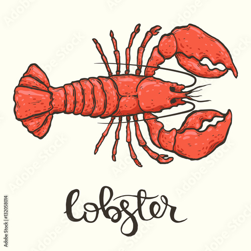 Lobster