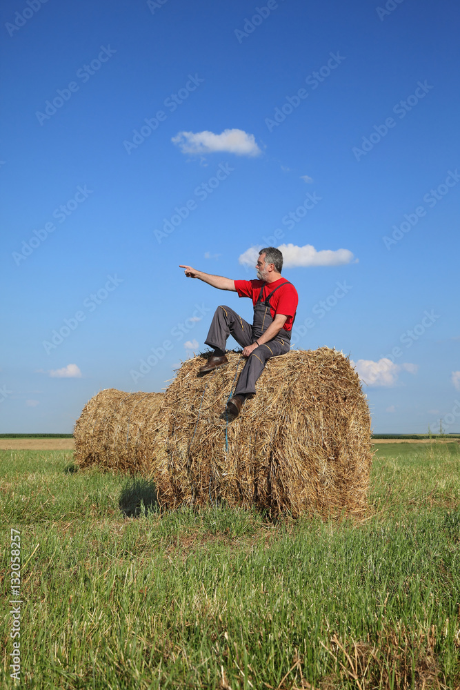 Farmer sitting at bale of hay in field and gesturing, pointing Farmer sitting at bale of hay in field and gesturing, pointing
