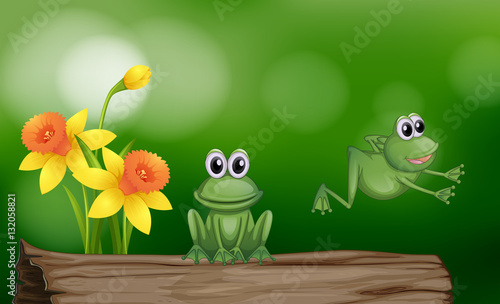 Two green frogs on the log