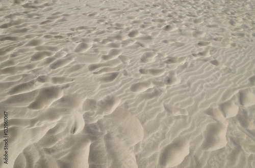 Sunny beach with sand