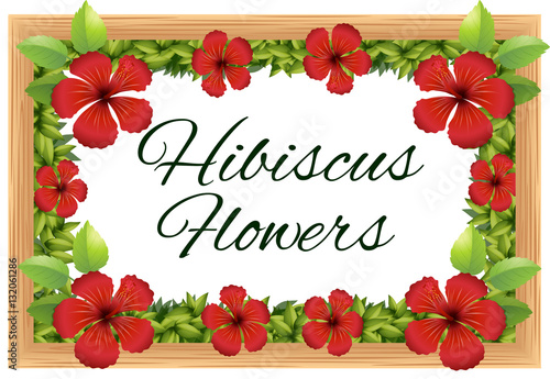 Hibiscus flowers around the wooden frame