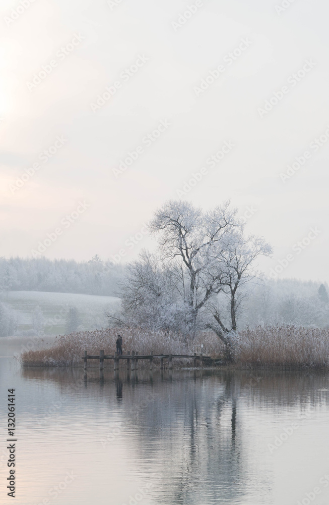 Fototapeta premium Pfäffikersee im Winter