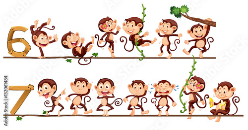 Monkeys and number six and seven