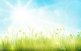 Green grass, blue sky, spring blurred bokeh background