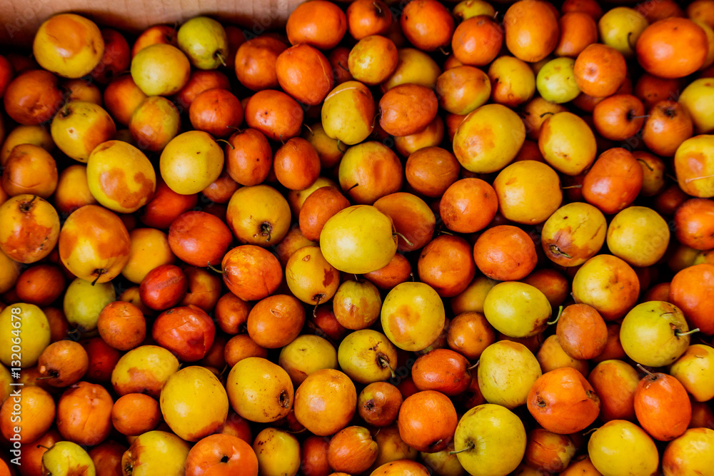 Monkey Apple, Ripe jujubes in box for sale Monkey Apple, Ripe jujubes in box for sale