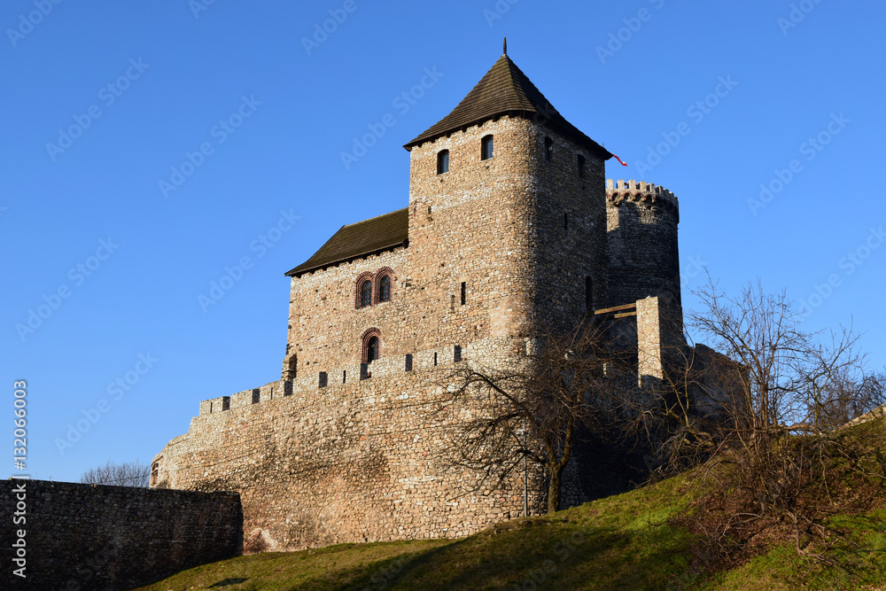 Średniowiczny Zamek w Będzinie. Castle in Bedzin. Poland
