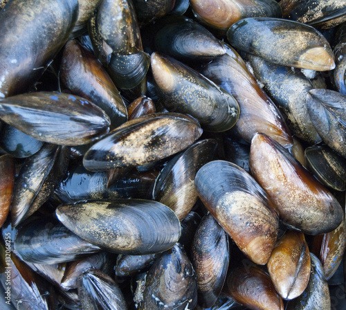 Fresh Mussels