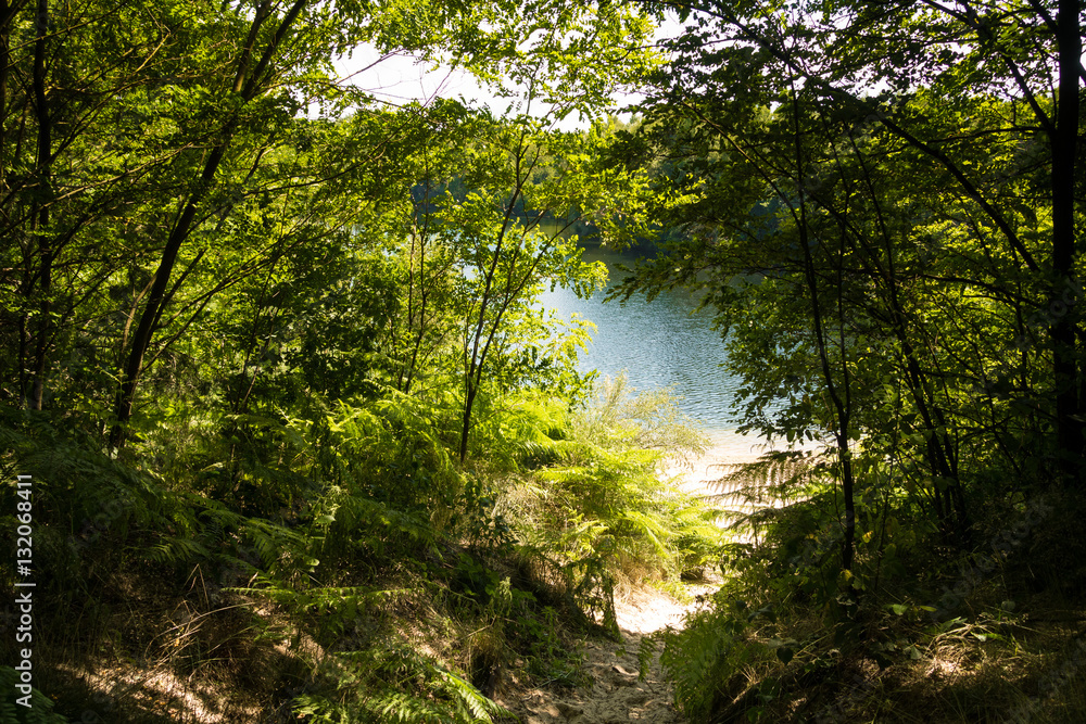 Fototapeta premium down to the lake