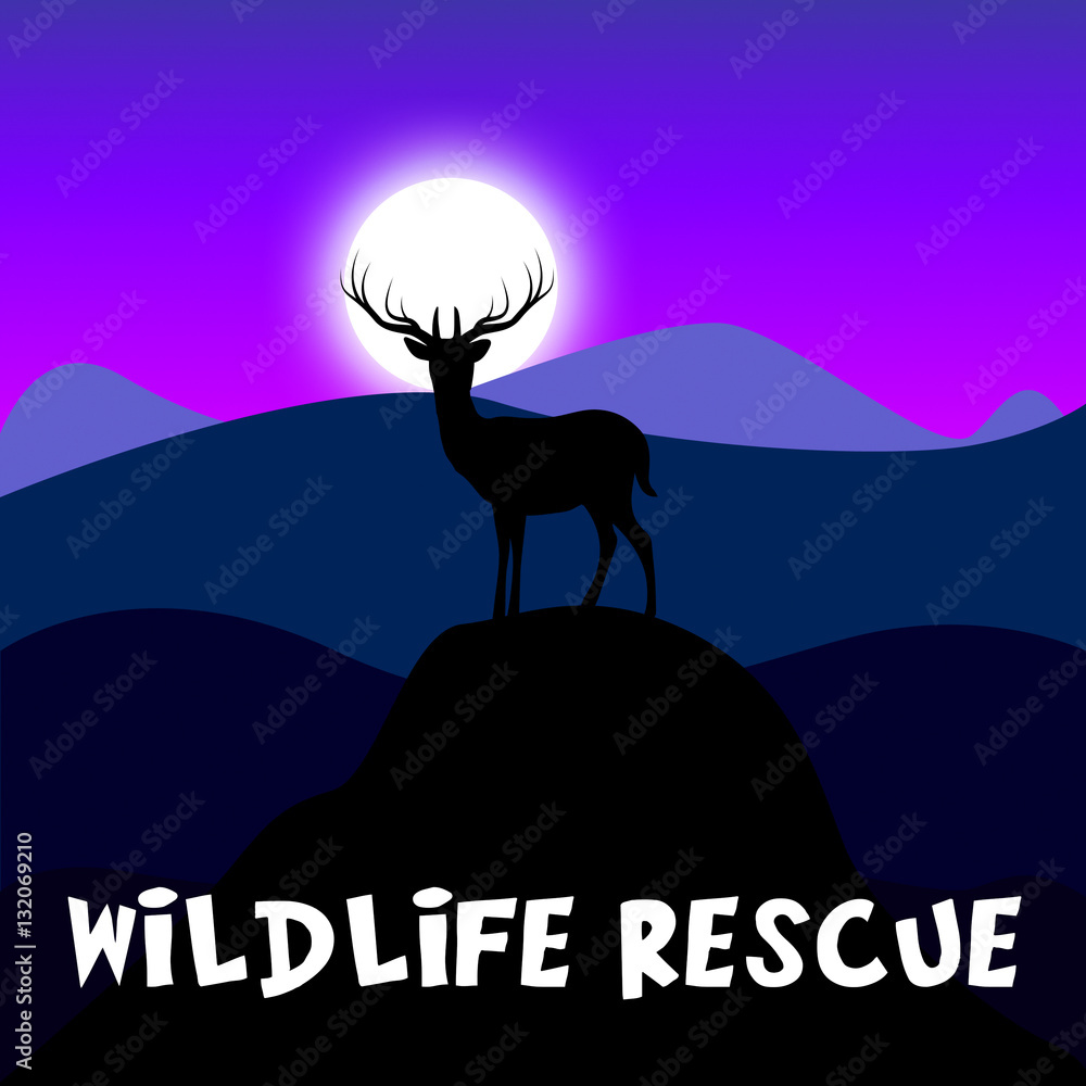Wildlife Rescue Shows Preserve Animals 3d Illustration