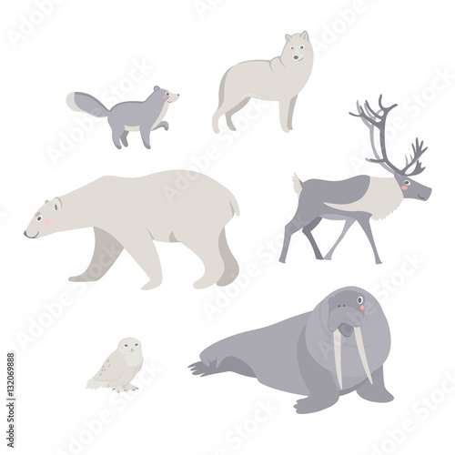 Cute arctic animals.