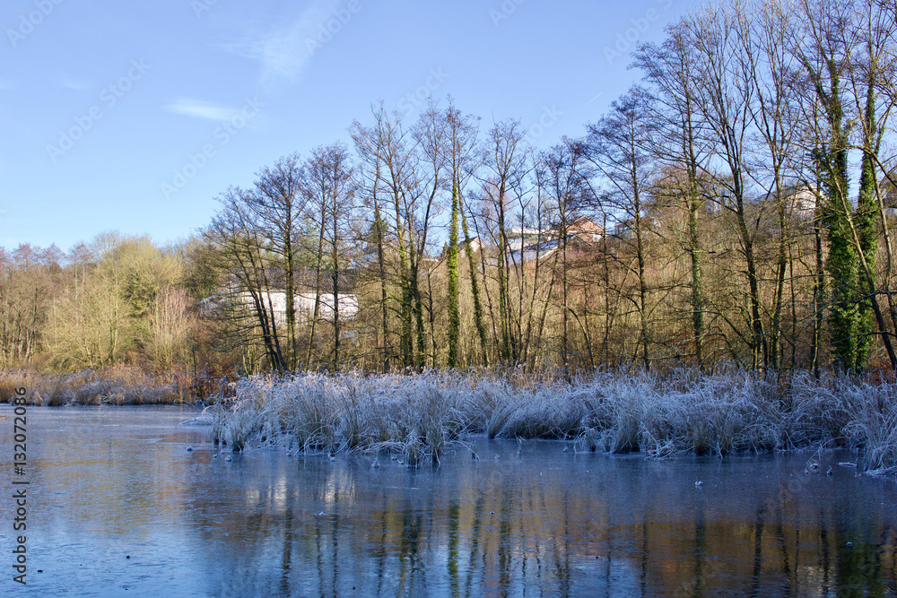 Winterlandschaft: Zugefrorener See mit Reflektionen und Textfreiraum