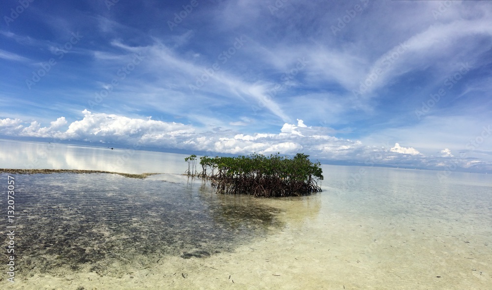 Beautiful View from Virgin Island in Panglao Beautiful View from Virgin Island in Panglao
