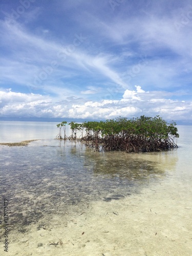 Sky and Sea View from Virgin Island in Panglao photo