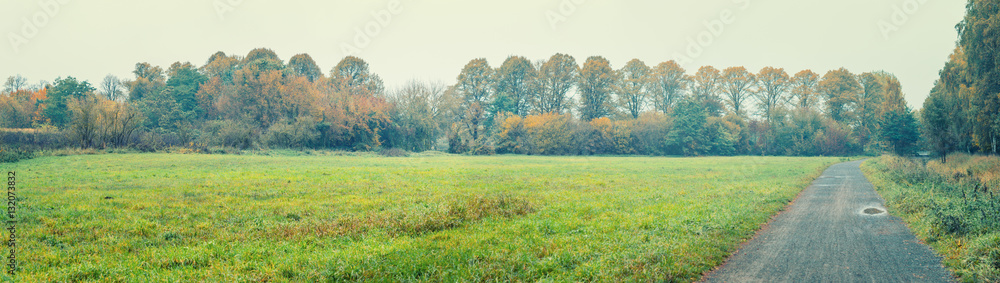 Panoramic countryside scene with green fields