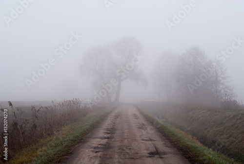 droga we mgle pomiędzy dwoma brzegami stawów