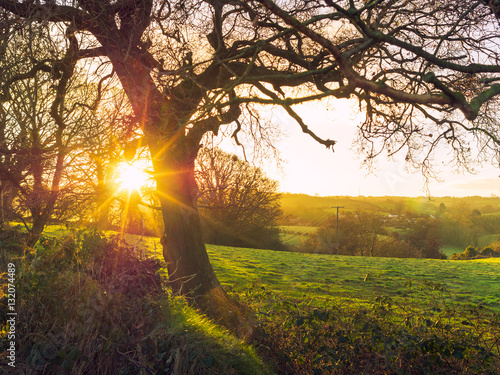 Northern Ireland countryside morning sunrise