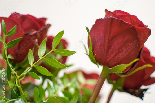 Three red roses close
