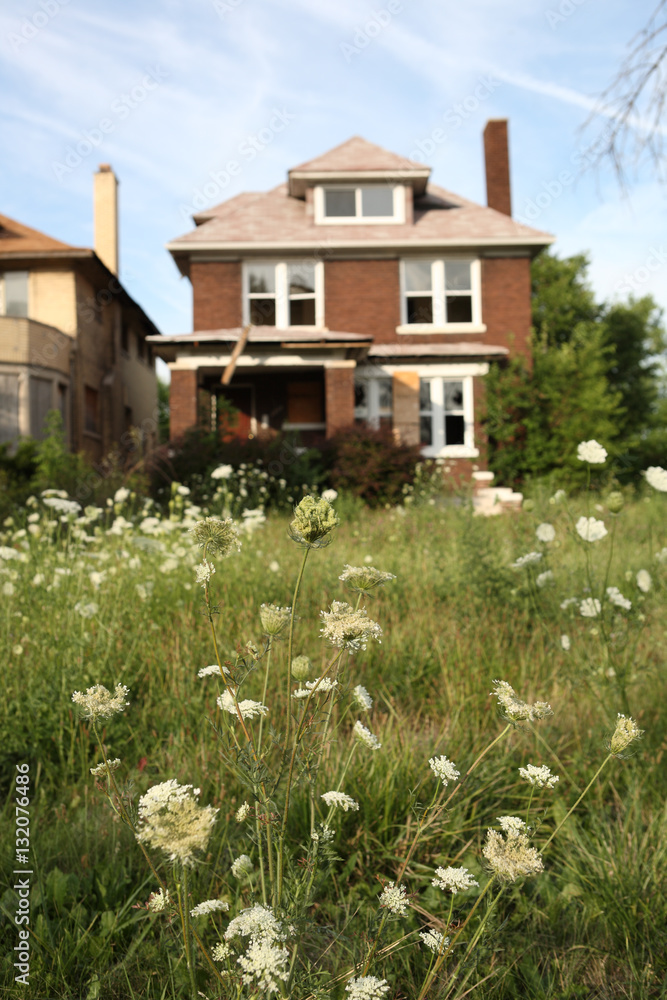 Abandoned houses in Detroit, Michigan, focus on the weeds