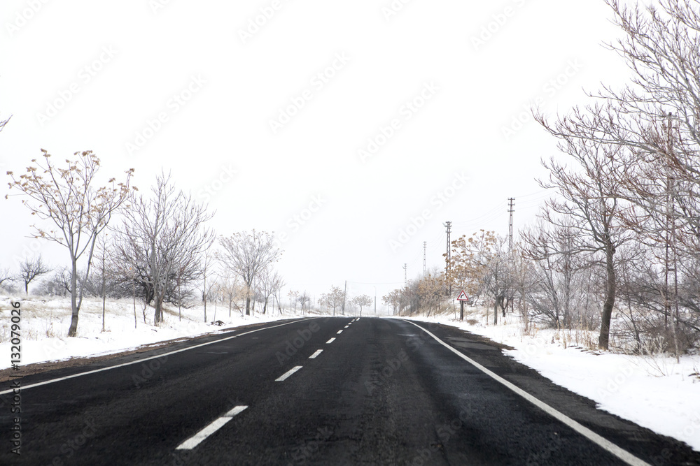 Fototapeta premium Snowy Road