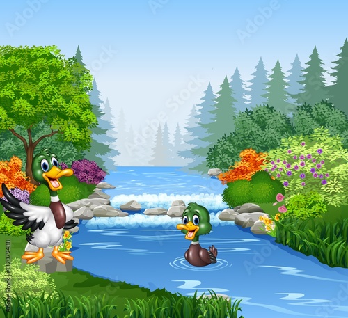 Cartoon duck at the river bank