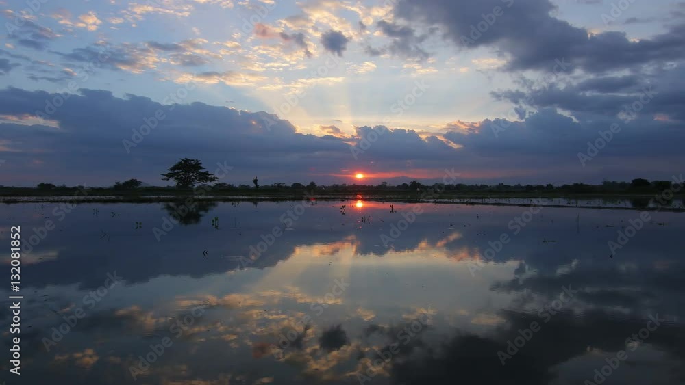 Time lapse sun down and water reflection in the rice field, Thailand. Time lapse sun down and water reflection in the rice field, Thailand.